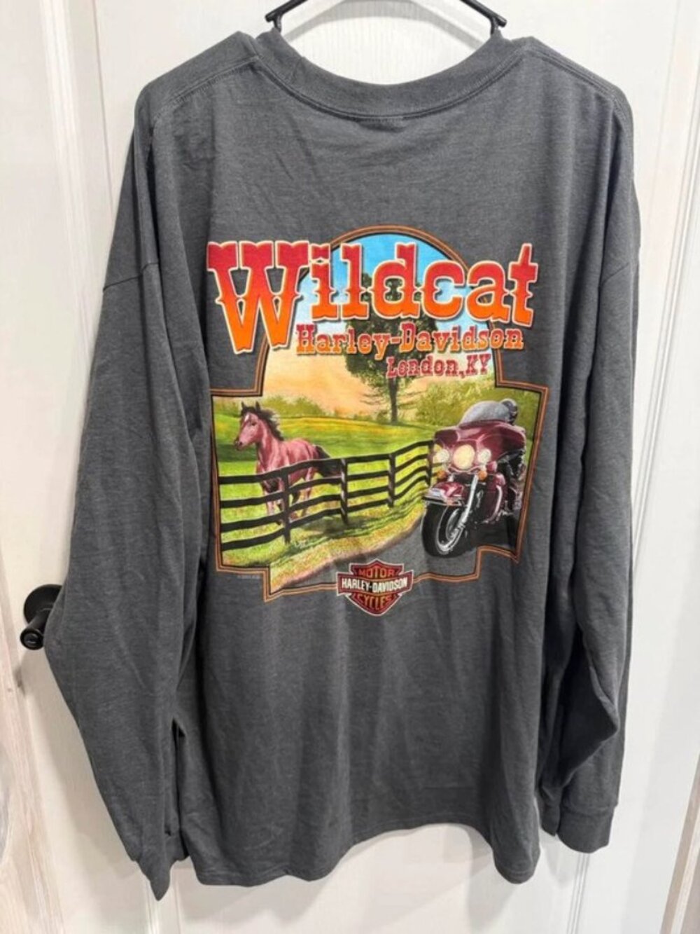 NWT Harley-Davidson Wildcat London KY 2021 Long Sleeve Shirt Men’s 2XL Gray